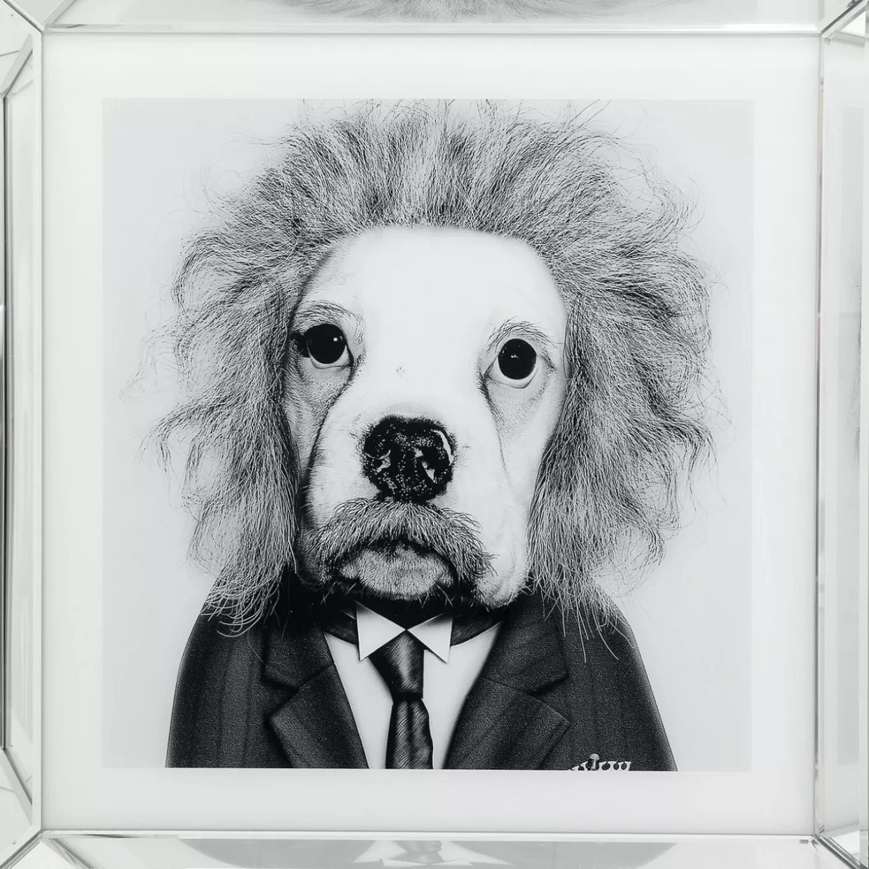 Specchio Decorativo con Cornice Smart Dog 60x60 cm - Quadri Moderni by KARE Design