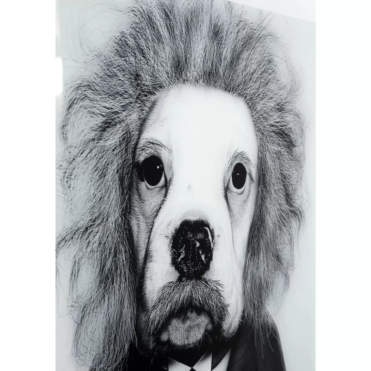 Specchio Decorativo con Cornice Smart Dog 60x60 cm - Quadri Moderni by KARE Design