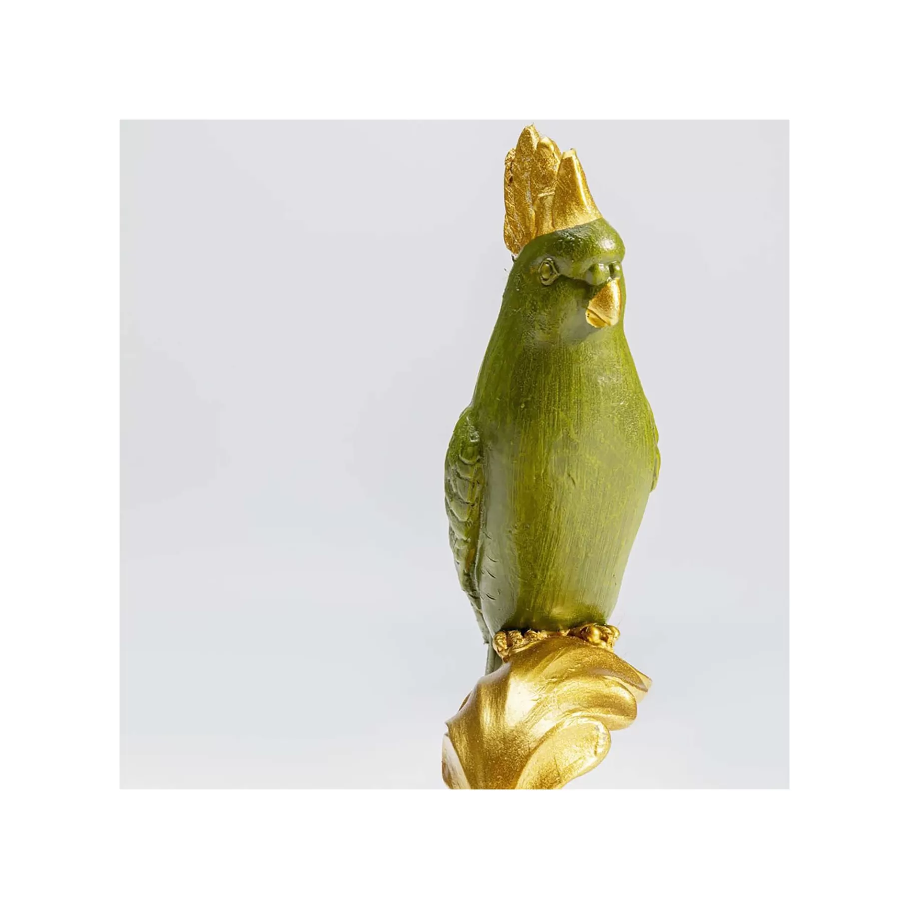 Shop Coupe Perroquet Feuille   Vaisselle