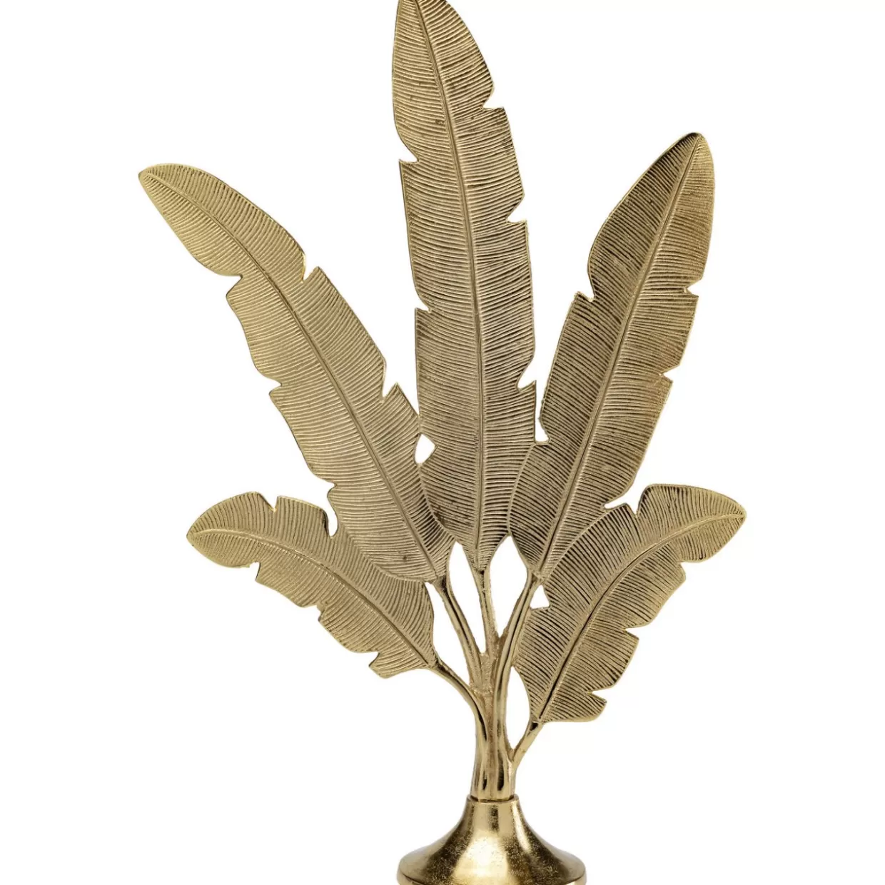 KARE Design | Elemento Arredativo Piume Elegante - Oggetto Decorativo per Casa, Modello 73 | Idea Regalo Creativa per Interni