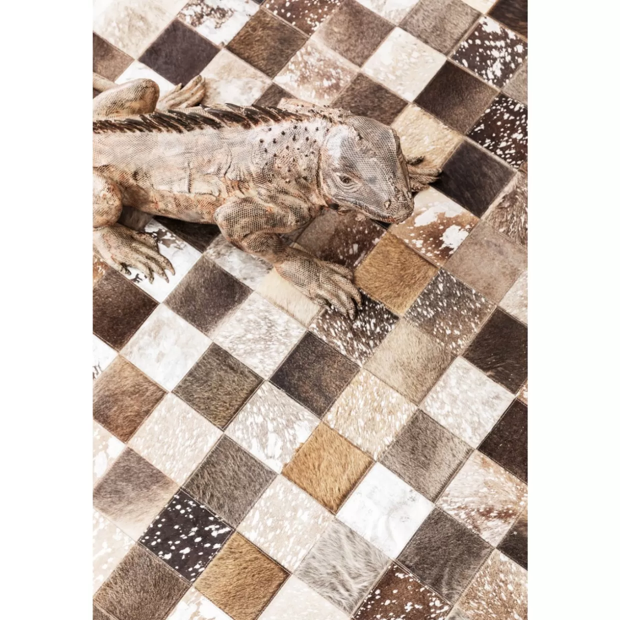 KARE by Design | Elemento Decorativo Originale Iguana per la Casa, 135 cm - Idee Regalo Esclusive con Stile e Riproduzione Realistica