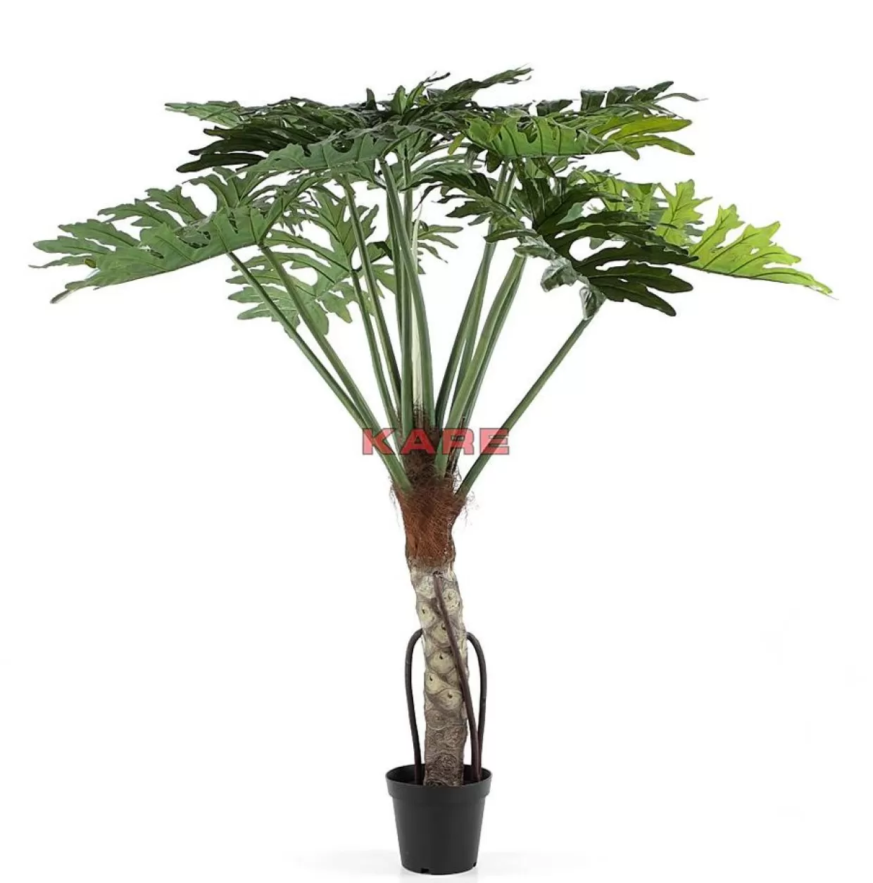 Pianta Monstera Elegante 175cm - Decorazione Verde per Interni di Design KARE | Foglie Lussureggianti per Arredamento Moderno
