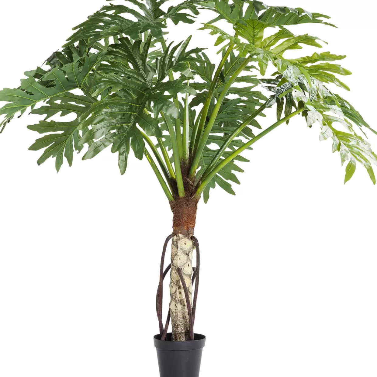 Pianta Monstera Elegante 175cm - Decorazione Verde per Interni di Design KARE | Foglie Lussureggianti per Arredamento Moderno