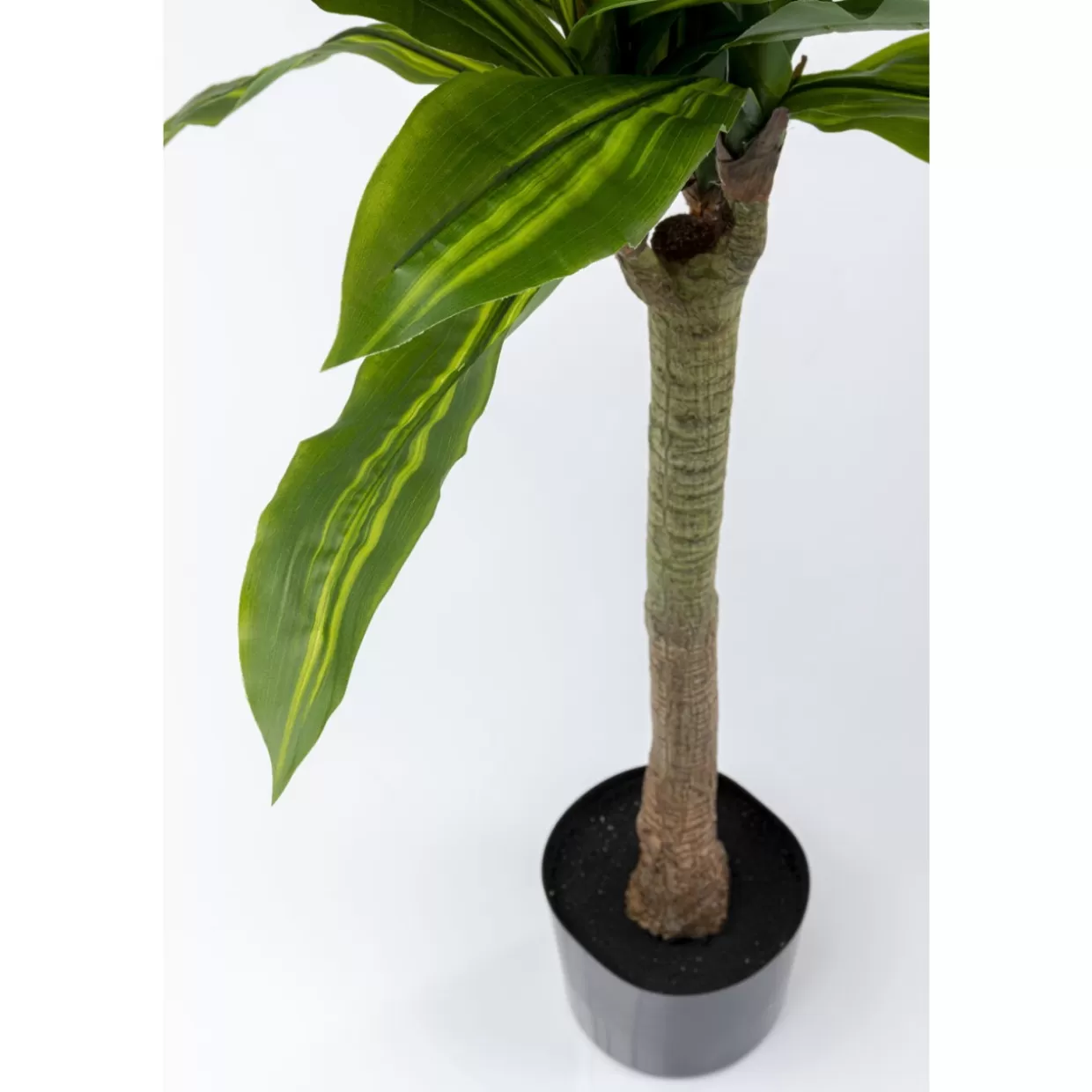 KARE Design - Decorazioni per la Casa e Originali Regali | Pianta Artificiale Dracaena Fragrans 