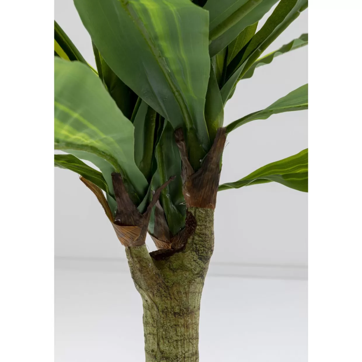 KARE Design - Decorazioni per la Casa e Originali Regali | Pianta Artificiale Dracaena Fragrans 