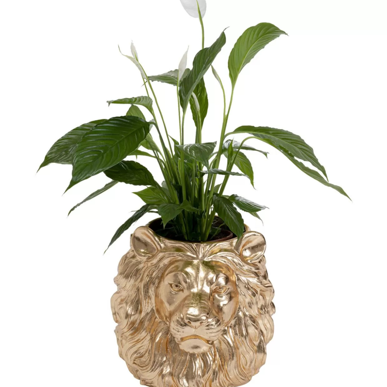 Vasi Decorativi KARE Design - Portavasi Elegante a Forma di Leone Dorato per Organizzazione Casa con Stile Moderno