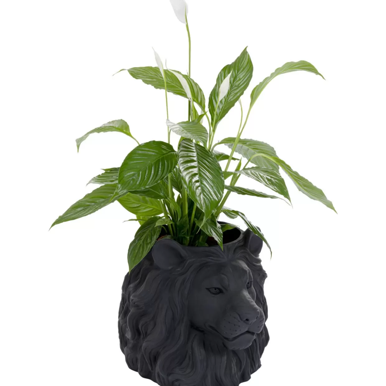Portaoggetti decorativo a forma di leone - Soluzione elegante per organizzare spazi con stile KARE Design