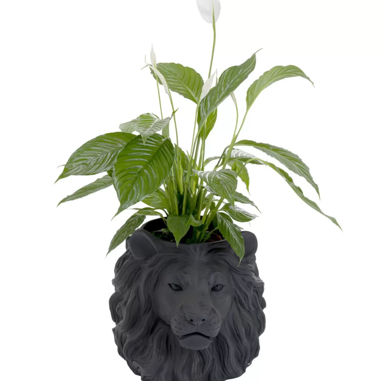 Portaoggetti decorativo a forma di leone - Soluzione elegante per organizzare spazi con stile KARE Design