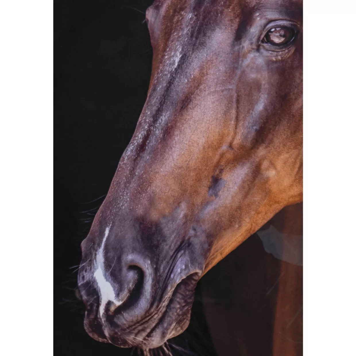 KARE Design - Quadro Incorniciato 
