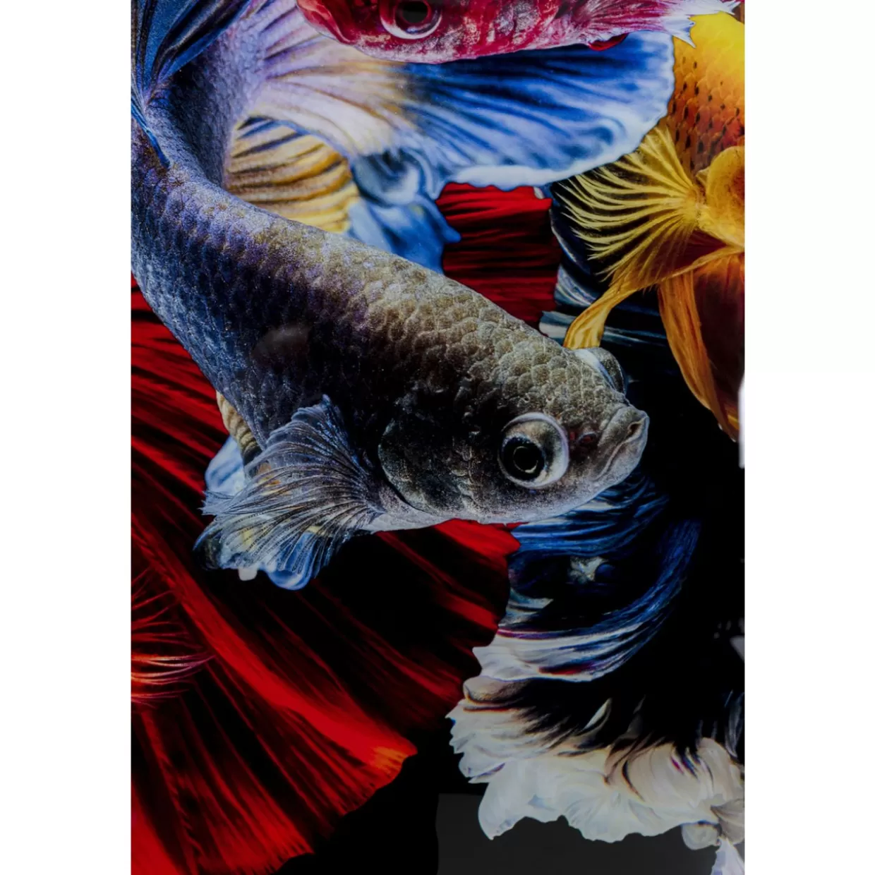 KARE Design Quadro Decorativo in Vetro 