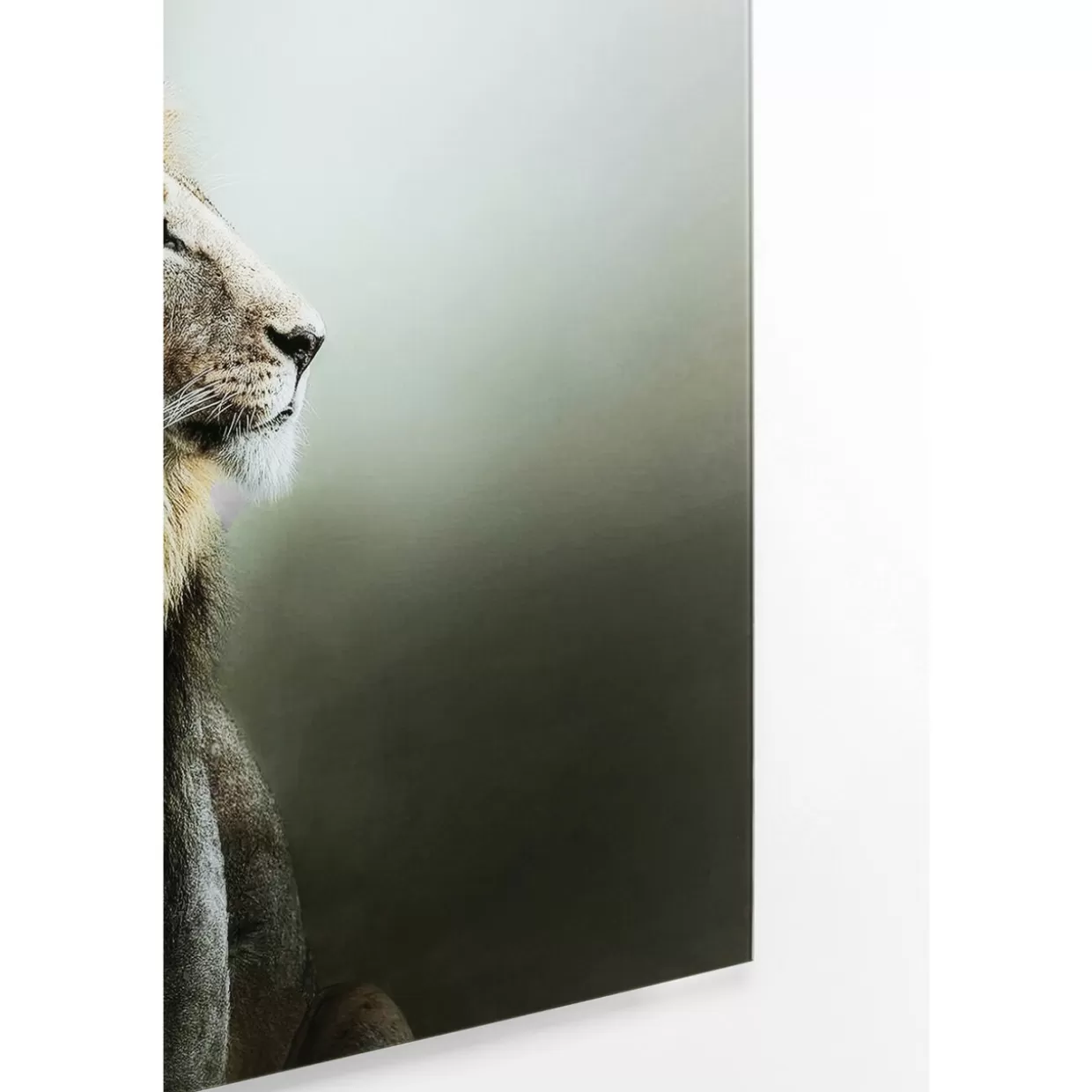 Quadro Decorativo Lion King in Vetro 100x100 cm - Stampa Artistica KARE Design