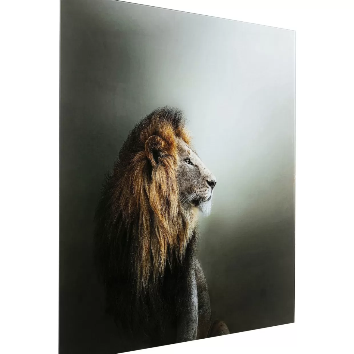 Quadro Decorativo Lion King in Vetro 100x100 cm - Stampa Artistica KARE Design