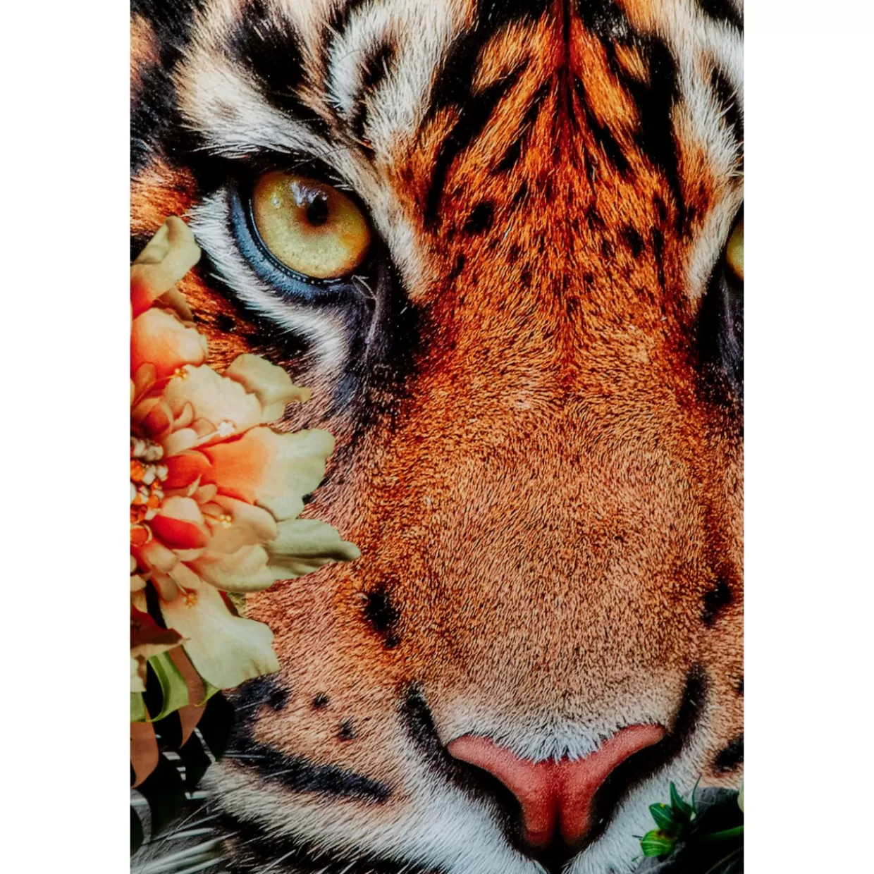 KARE Quadro Artistico in Vetro - Tigre Selvaggia a Caccia, Stampa Moderna per Arredamento 150x100 cm