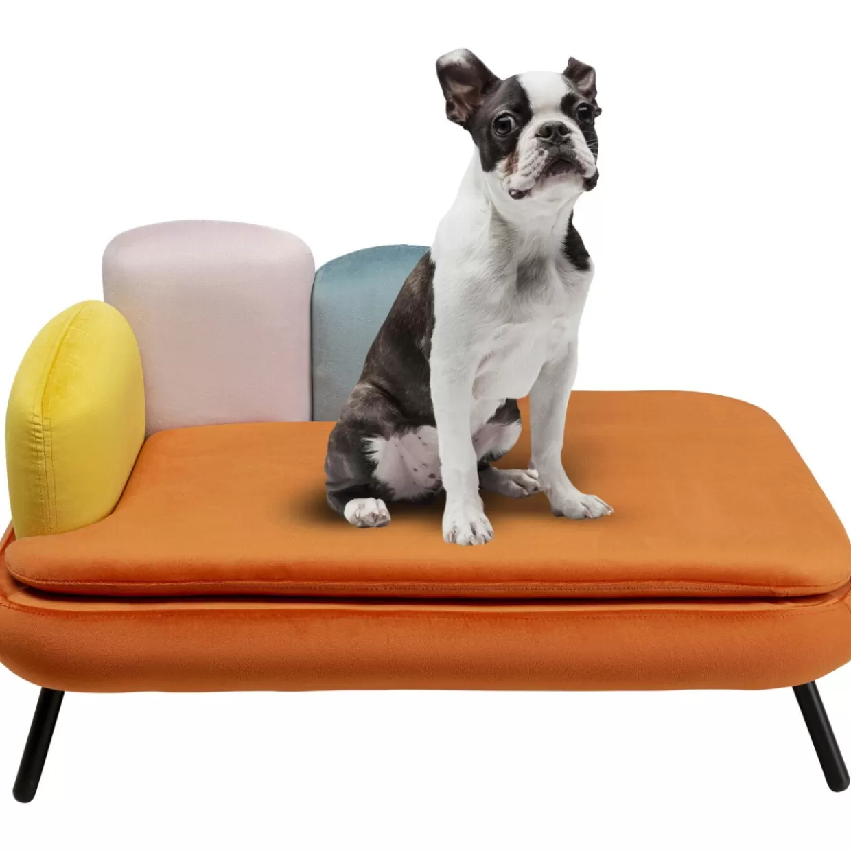 Letti per Cani e Gatti Confortevoli - Design Moderno KARE, Tonalità Arancione Brillante