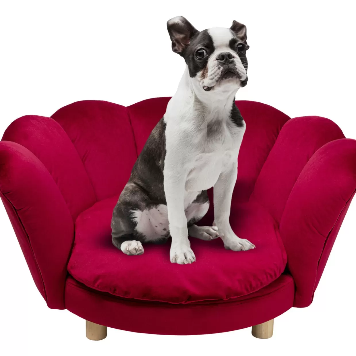 Cuccia per Cani e Gatti Ninfea Rossa - Design Accogliente KARE | Complementi d'Arredo per Animali Domestici