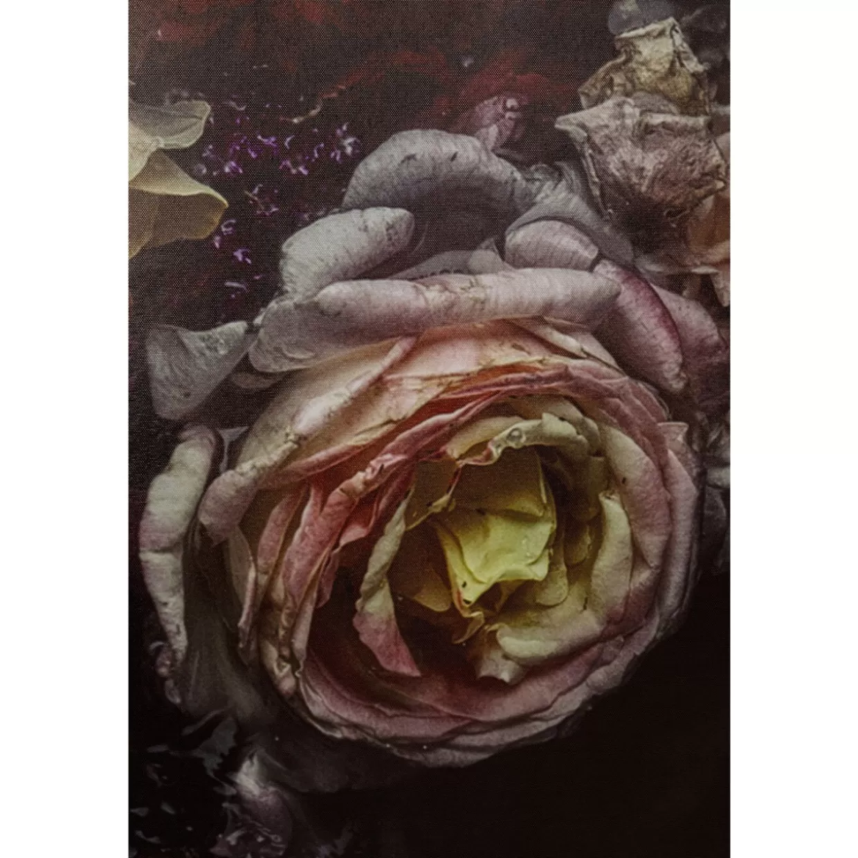 Quadro Moderno Dama Floreale su Tela - Stampa Artistica 200x200 cm per Arredamento Casa | Collezione KARE Design