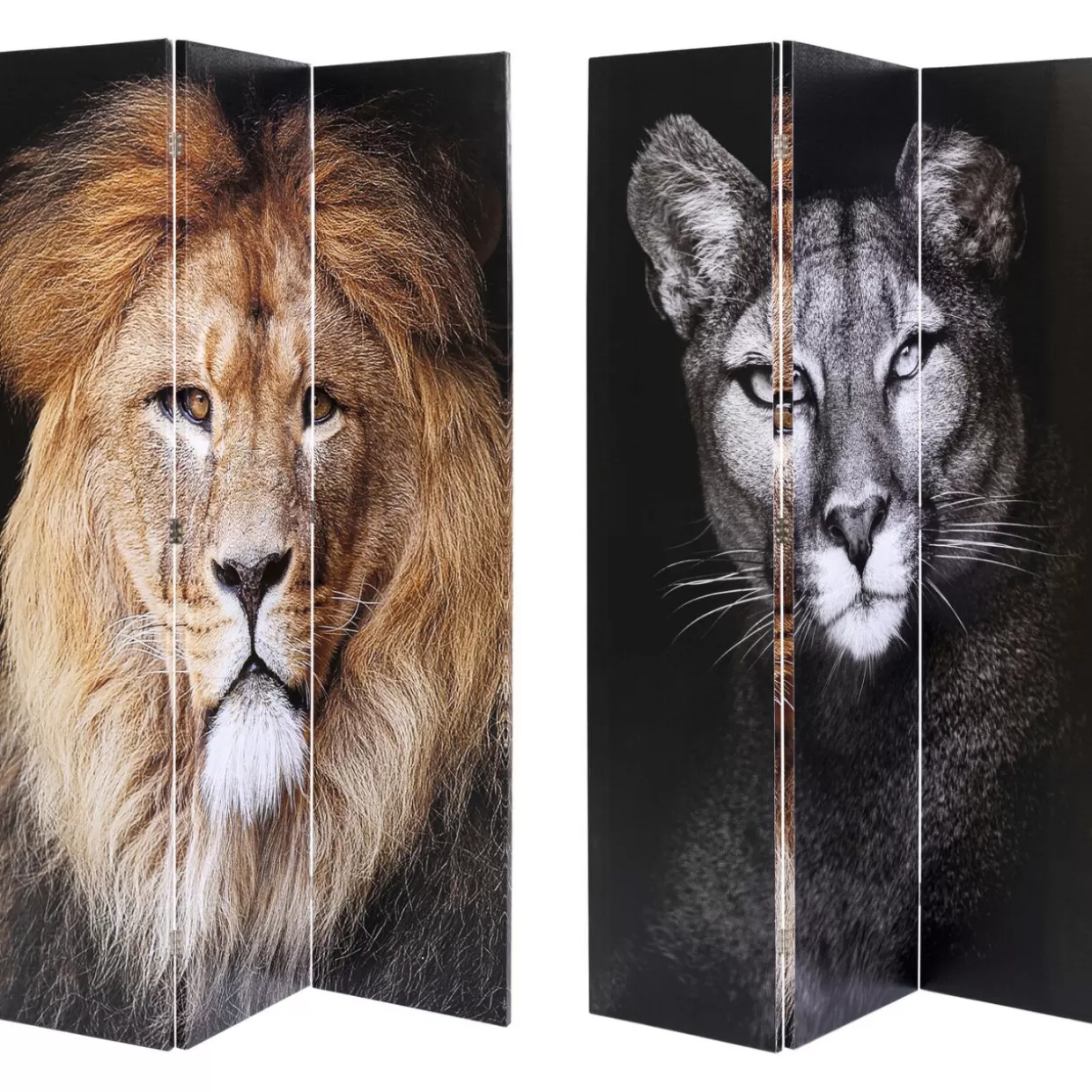 Paravento Artistico KARE Design - Scontro Epico tra Re Leone e Ragazza Gatta, 120x180 cm