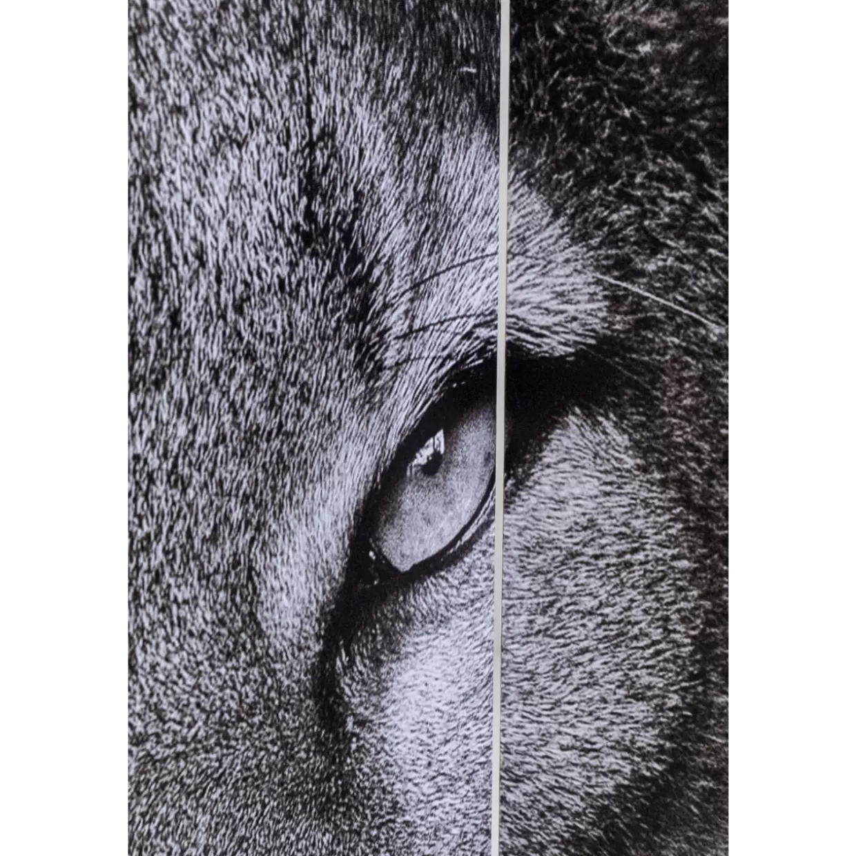 Paravento Artistico KARE Design - Scontro Epico tra Re Leone e Ragazza Gatta, 120x180 cm