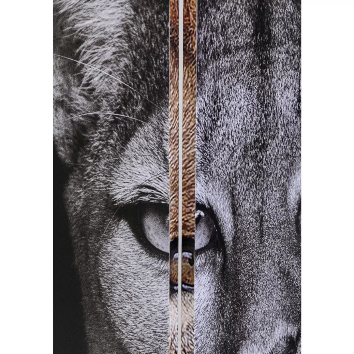 Paravento Artistico KARE Design - Scontro Epico tra Re Leone e Ragazza Gatta, 120x180 cm