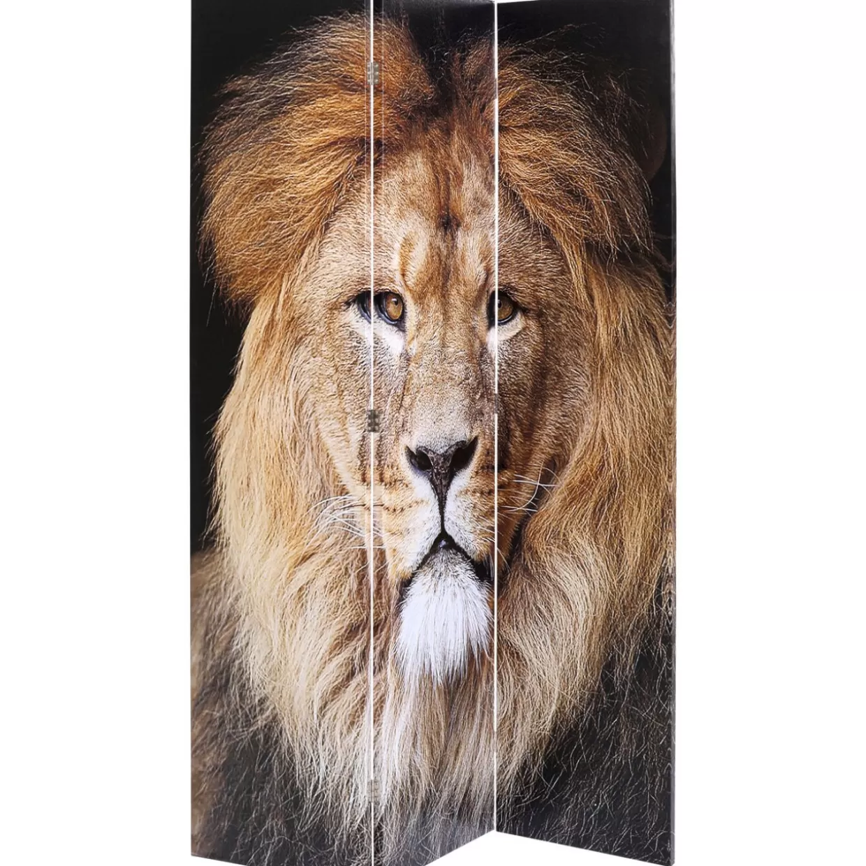 Paravento Artistico KARE Design - Scontro Epico tra Re Leone e Ragazza Gatta, 120x180 cm