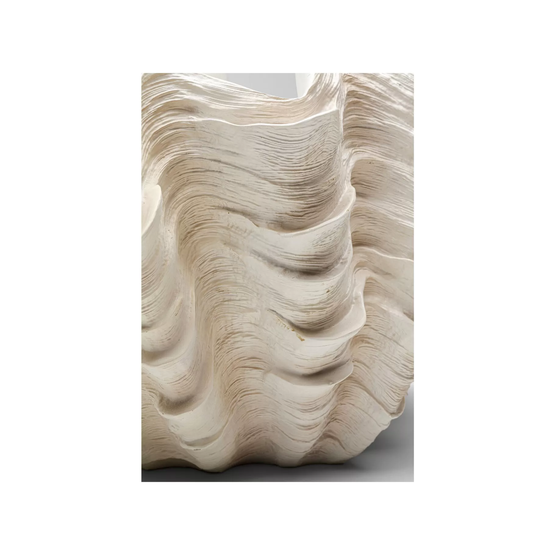 Clearance Vase Concha 29cm   Vase
