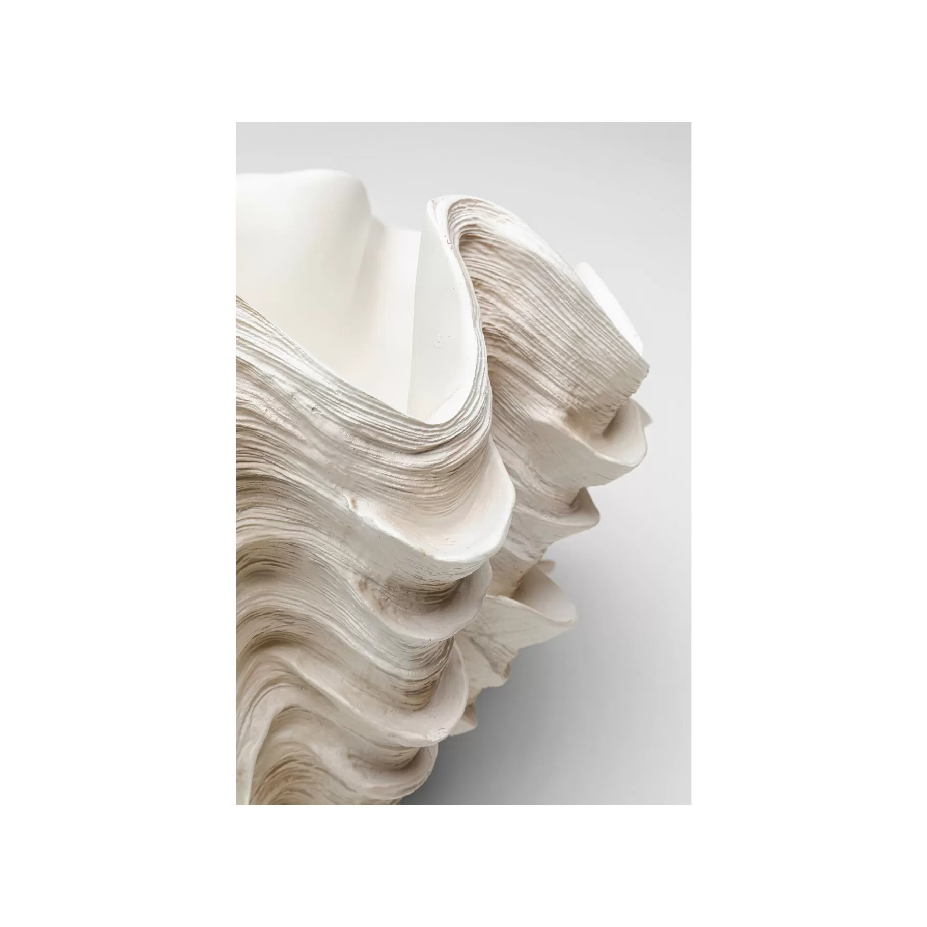 Clearance Vase Concha 29cm   Vase