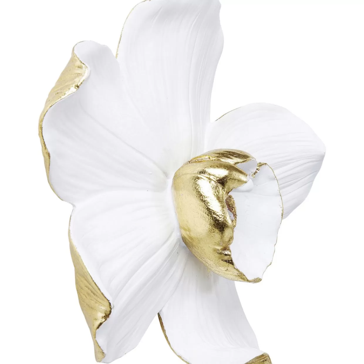 Decorazione Murale Orchidea Bianca - Quadro Elegante KARE Design 25 cm