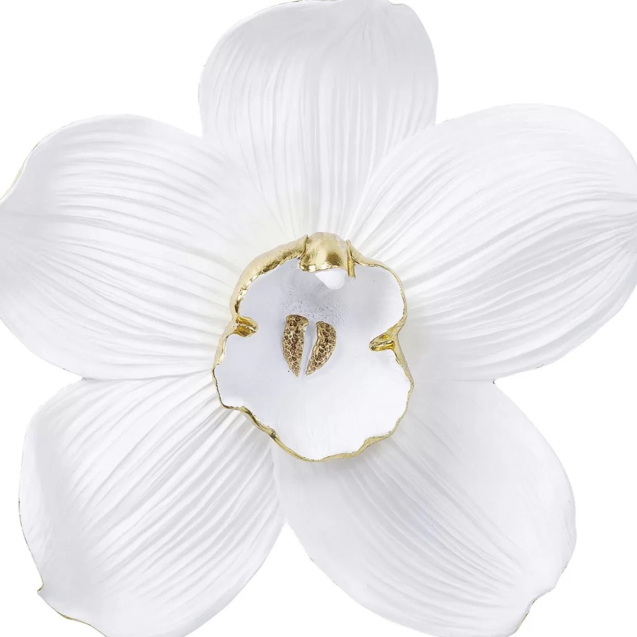 Quadro Decorativo Moderno KARE - Orchidea Bianca su Sfondo Neutro, 54 cm - Ideale per Arredamento Casa 

Quadri da Parete Artistici KARE Design - Stile Orchidea Bianca in Cornice Minimalista (Larghezza 54 cm) 

Decorazione Muraria Elegante KARE - Stampe Botaniche con Fiore di Orchidea in Tonalità Cremosa, 54 cm 

KARE Original Art - Quadro Contemporaneo Orchidea Bianca per Soggiorno/Camera, Formato 54x54 cm 

Pannello Decorativo KARE Design - Composizione Floreale Orchidea su Sfondo Avorio, 54 cm Larghezza