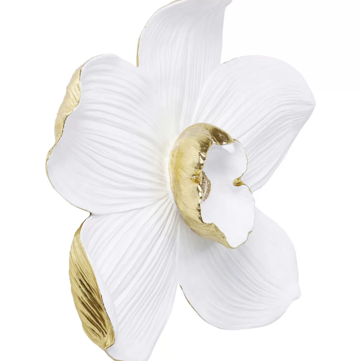 Quadro Decorativo Moderno KARE - Orchidea Bianca su Sfondo Neutro, 54 cm - Ideale per Arredamento Casa 

Quadri da Parete Artistici KARE Design - Stile Orchidea Bianca in Cornice Minimalista (Larghezza 54 cm) 

Decorazione Muraria Elegante KARE - Stampe Botaniche con Fiore di Orchidea in Tonalità Cremosa, 54 cm 

KARE Original Art - Quadro Contemporaneo Orchidea Bianca per Soggiorno/Camera, Formato 54x54 cm 

Pannello Decorativo KARE Design - Composizione Floreale Orchidea su Sfondo Avorio, 54 cm Larghezza